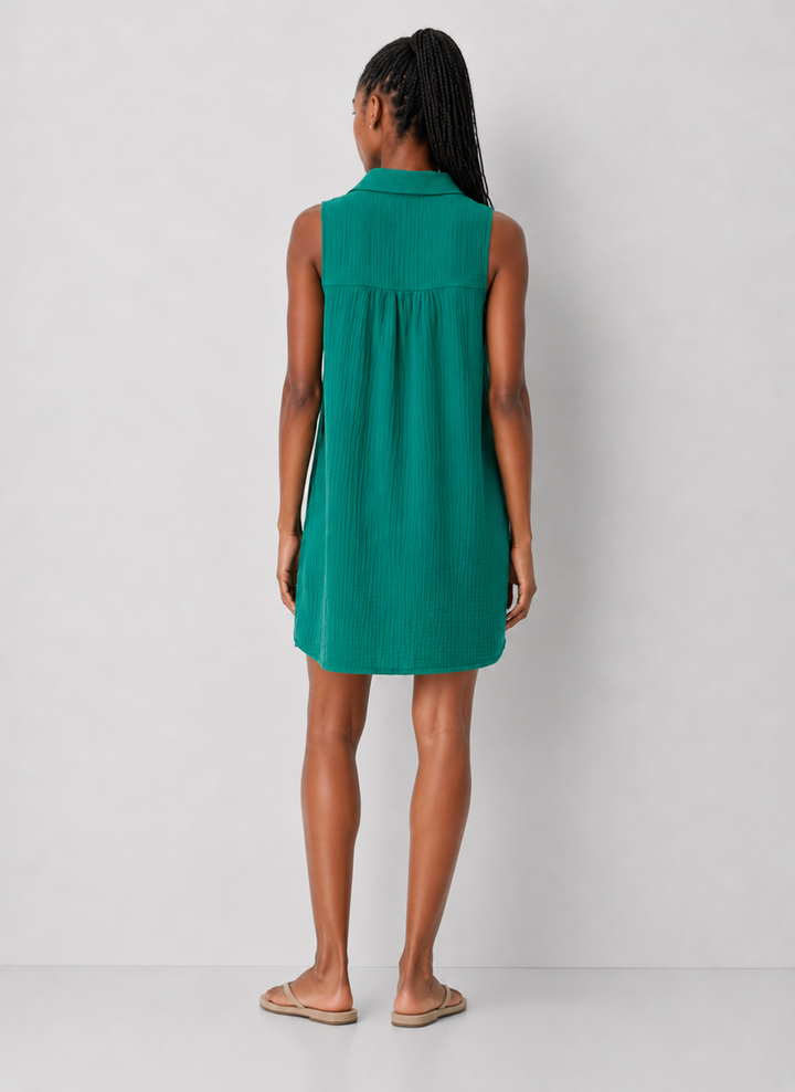 Z Supply New Light Mini Dress