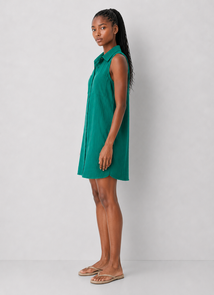 Z Supply New Light Mini Dress
