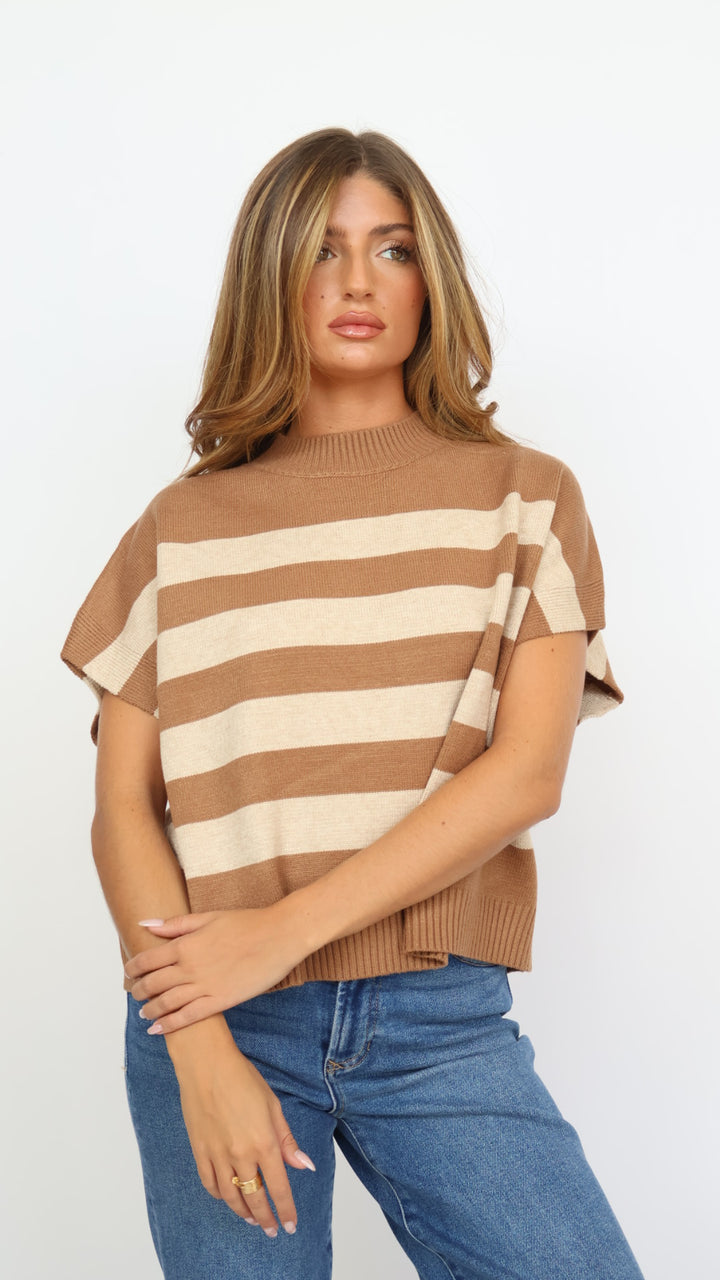 Stripe Sweater Vest