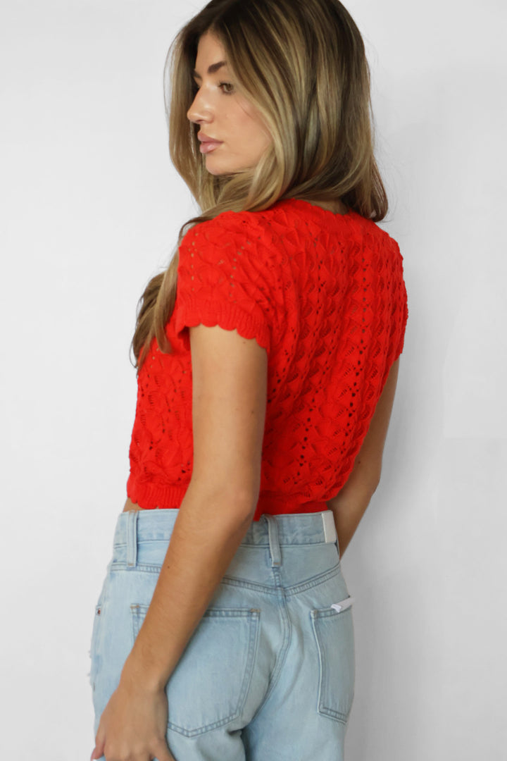 Pointelle Crochet Short Sleeve Cardigan