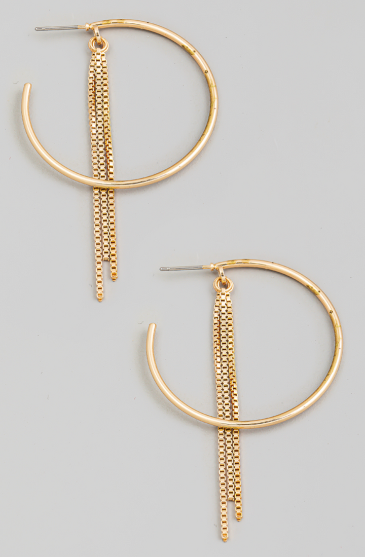 Box Chain And Hoop Earrings