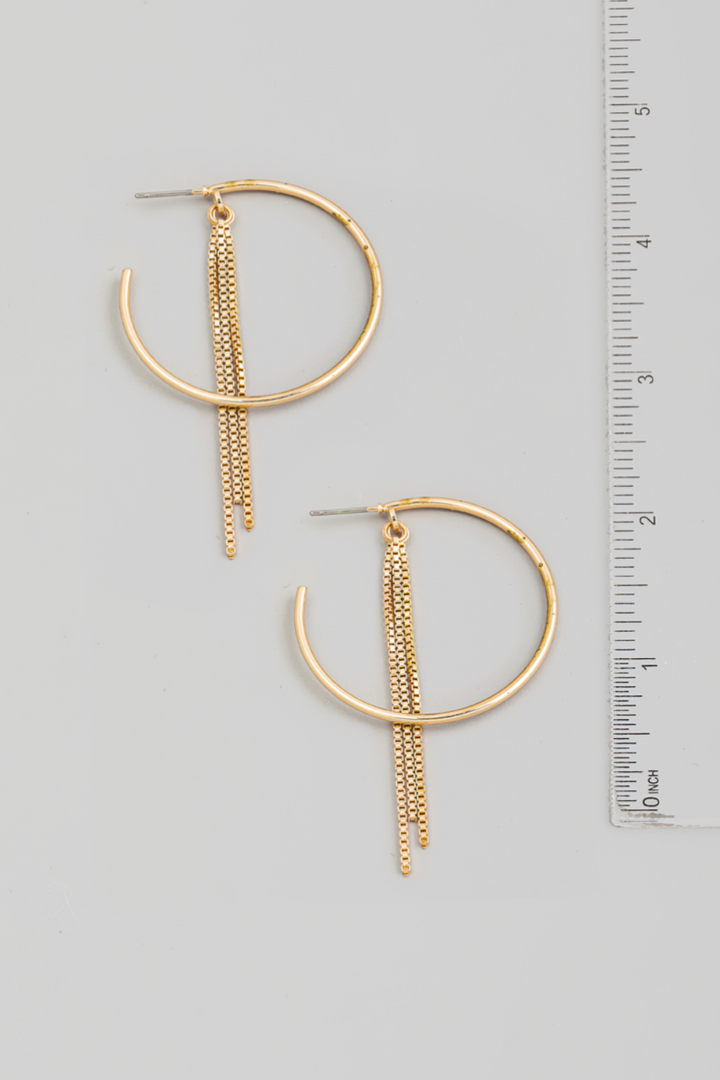 Box Chain And Hoop Earrings