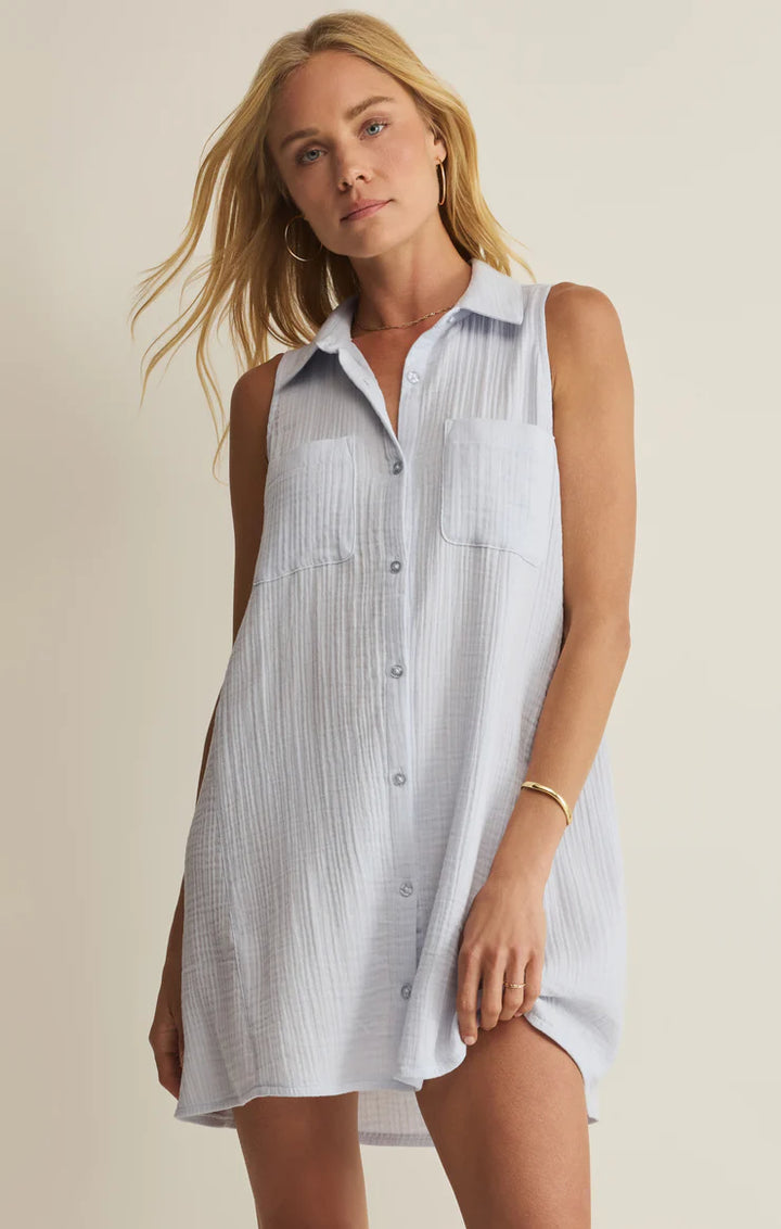 Z Supply New Light Mini Dress