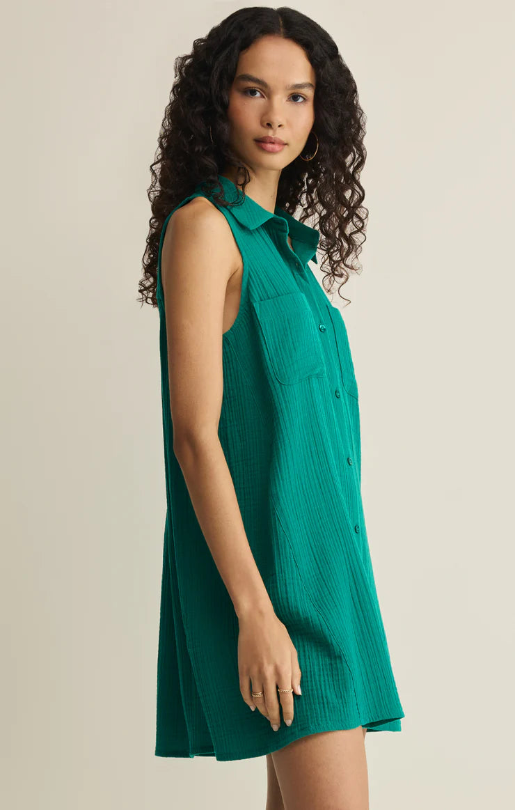 Z Supply New Light Mini Dress