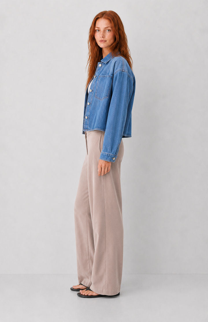Z Supply Erin Denim Jacket