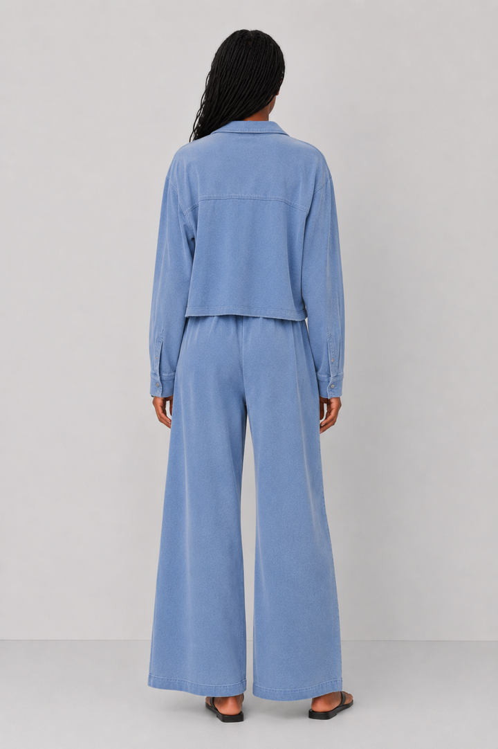 Z Supply Cropped Reese Denim Button Up