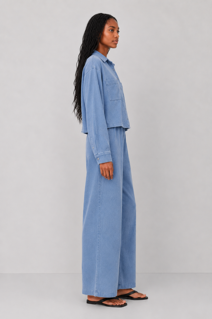 Z Supply Cropped Reese Denim Button Up