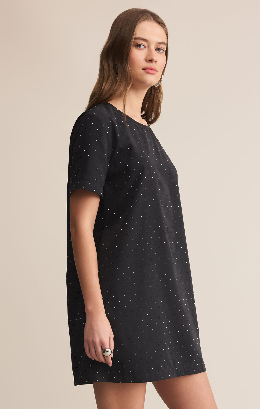 Z Supply Zinnia Dress